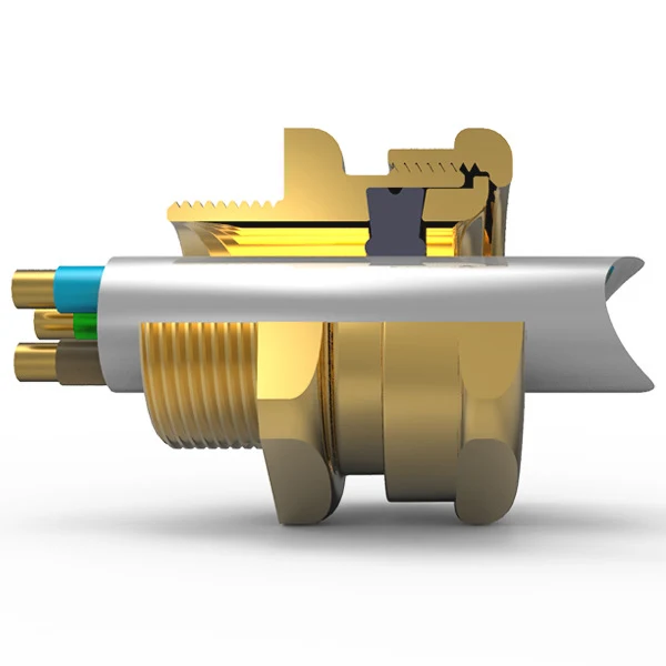 Cutaway view of a barrier cable gland and cable